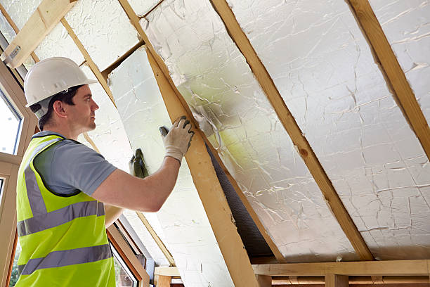 Best Types of Insulation in Ellisville, MS